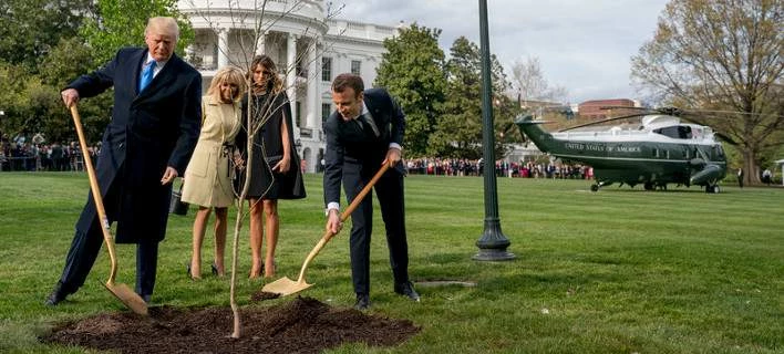 Ο Τραμπ ξερίζωσε τη βελανιδιά που φύτεψε μαζί με τον Μακρόν στον Λευκό Οίκο (εικόνες)
